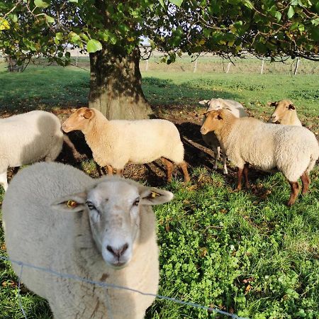 Ferienhof Stobbe Grube Esterno foto